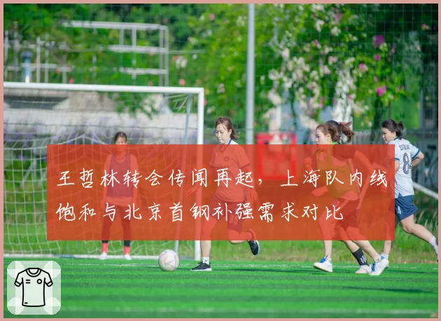 王哲林转会传闻再起，上海队内线饱和与北京首钢补强需求对比