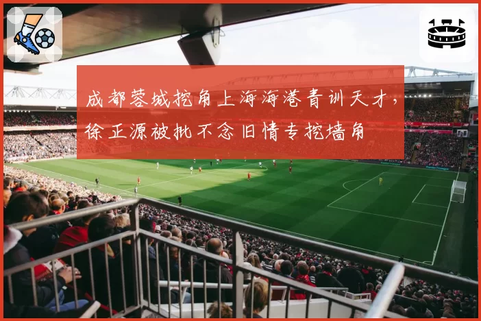 成都蓉城挖角上海海港青训天才,徐正源被批不念旧情专挖墙角