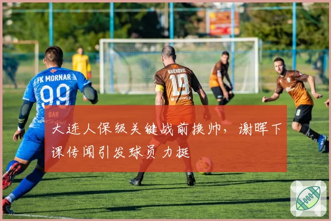 大连人保级关键战前换帅，谢晖下课传闻引发球员力挺